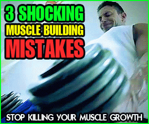 The Muscle Maximizer