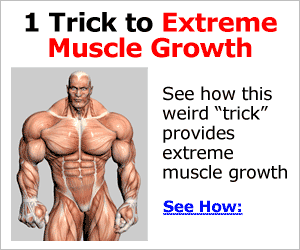 The Muscle Maximizer