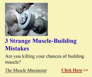 The Muscle Maximizer